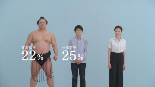 力士の体脂肪率 千代の富士 白鵬 妙義龍 日馬富士は 体重ランキングも発表 大相撲のブログ部屋