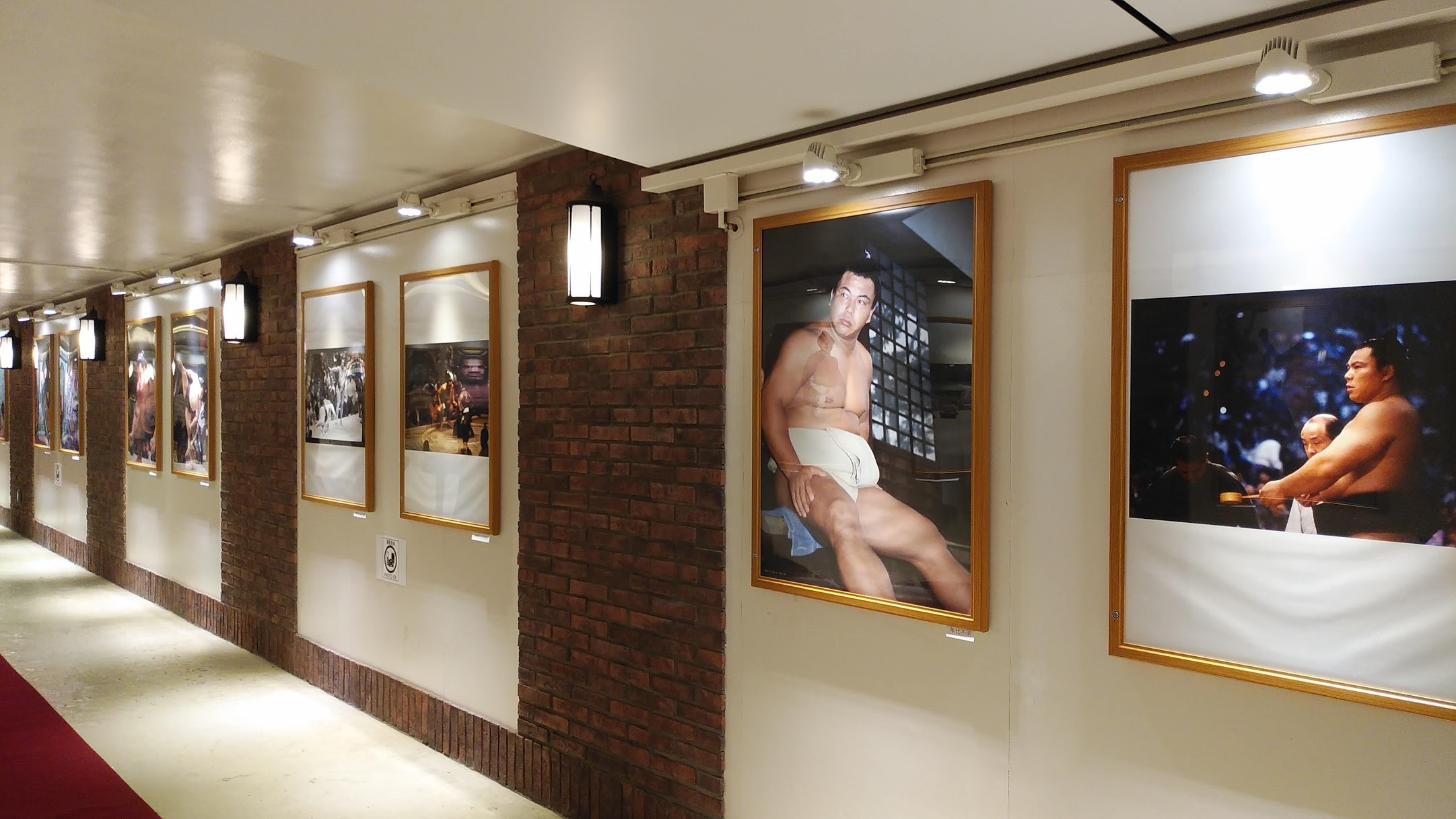 優勝額の大きさに感動！横綱千代の富士記念展の感想レポート！幻