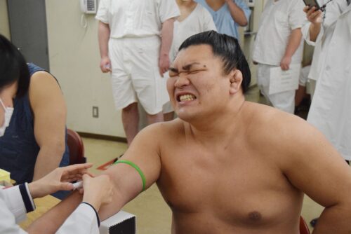 力士の注射写真から可愛い 痛 い が聞こえてくる 健康診断の結果は 大相撲のブログ部屋
