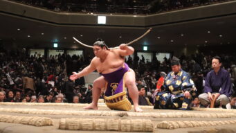 大相撲 ひよっこ豆知識 大相撲のブログ部屋